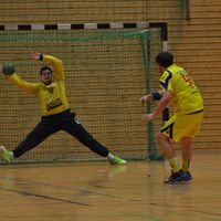 Handball Aufstiegssaison_02.jpg