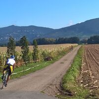 triathlon 2017_hp.jpg