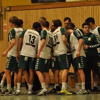 Handball Aufstiegssaison_06.jpg