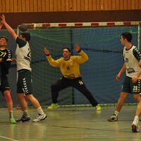 Handball Aufstiegssaison_04.jpg