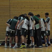 Handball Aufstiegssaison_01.jpg