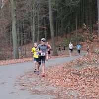 IMG_5993.jpg